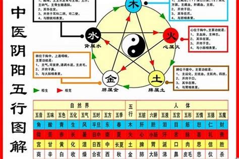 1984生肖鼠|1984年属鼠是什么命，84年出生五行属什么